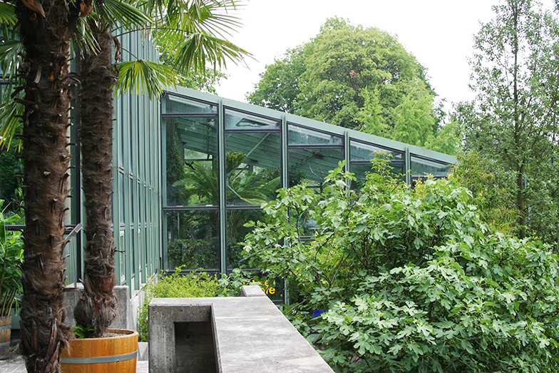 Botanischer Garten/Gebäude/Glashaus/Seitenansicht