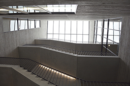 Bühlplatzareal/Zoologisches Institut/Treppenhaus von unten nach oben/Glasdach