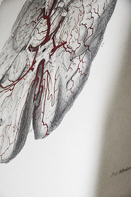 Bühlplatzareal/Lernzentrum IML/Korridor/Gemälde Gehirn