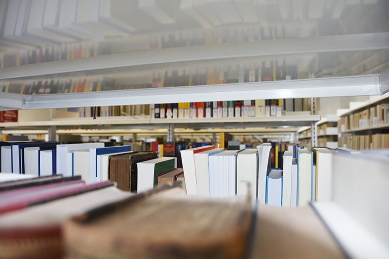 Juristische Bibliothek/Innenansicht/Buchreihen