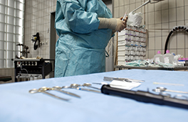 Forschung/Tierspital/Operationsbesteck auf Tisch/Arzt