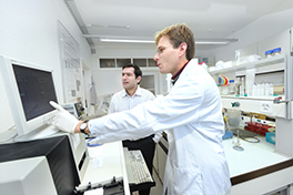 Forschung/Technik/Büro/Männer werten Daten an Bildschirm aus