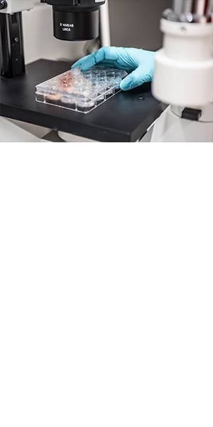Laboratory for Oral Molecular Biology
