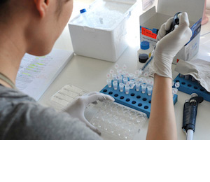 Mikrobiologische Arbeit